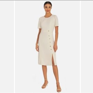 NWT! Ivy & Blu Dress, Cream color Size 6.